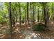Scenic wooded lot showcasing nature's beauty with tall trees and a carpet of fallen leaves at 215 Collinson Dr, Chapel Hill, NC 27514