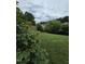 A grassy backyard with a small tree, shrubs, and a privacy fence at 2511 Dalmahoy Ln, Fuquay Varina, NC 27526