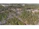 An expansive view of wooded acreage, showing a variety of trees and plant-life at 2630 Ponderosa Rd, Cameron, NC 28326