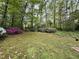 A backyard of green moss and several azalea bushes in shades of pink, red, and white at 2706 Montgomery St, Durham, NC 27705