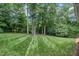 Spacious backyard featuring lush green grass and mature trees, offering a serene and private outdoor space at 522 N Scotswood Blvd, Hillsborough, NC 27278