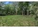 Expansive backyard featuring lush green grass and mature trees, offering a serene and private outdoor space at 522 N Scotswood Blvd, Hillsborough, NC 27278