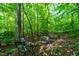 A tranquil outdoor seating area nestled in the woods with metal chairs and decorative pillows at 8116 Owenston Ct, Raleigh, NC 27612