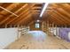 Spacious unfinished attic with exposed wood beams, shelving, and a window at 1301 King Cross Ct, Raleigh, NC 27614