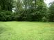Lush green backyard featuring mature trees and grass at 1809 S Garnett Ext, Henderson, NC 27536
