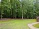 Expansive backyard surrounded by mature trees, offering privacy and a serene outdoor space at 221 Jansmith Ln, Raleigh, NC 27615