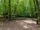 Beautiful wooded lot featuring mature trees and lush foliage offering privacy and a natural setting at 221 Jansmith Ln, Raleigh, NC 27615
