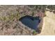 Aerial view of serene pond surrounded by trees and fields, offering a peaceful and private setting at 2710 Morton Pulliam Rd, Roxboro, NC 27574
