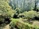 Fenced backyard with mature trees offers a private outdoor space at 322 S Dixon Ave, Cary, NC 27511