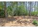 Large, shady backyard with mature trees, a firepit, and swing at 9308 Carisbrook Ct, Raleigh, NC 27615