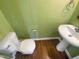Bathroom featuring a white toilet, vanity sink, wood look flooring, and green walls at 102 Darley Dale Loop, Apex, NC 27502