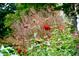 Flower bed with red and pink flowers in the middle of a garden at 1908 Smallwood Dr, Raleigh, NC 27605