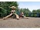 Community playground featuring slides and climbing structures for outdoor enjoyment at 2100 Della Ct, Apex, NC 27502