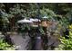 Backyard features bird feeders and abundant greenery and landscaping at 3307 Devon Rd, Durham, NC 27707