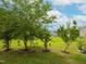Backyard with trees and lawn at 3515 Mountain Brook Cir, Durham, NC 27704