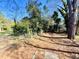 Large backyard with chain link fence and mature trees at 602 Dexter St, Rocky Mount, NC 27803