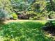 Expansive backyard with lush green lawn and mature trees offering shade and privacy at 8729 Valentine Ct, Raleigh, NC 27613