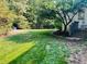 Sprawling backyard view showcasing manicured lawn and mature trees and stone walkway at 8729 Valentine Ct, Raleigh, NC 27613