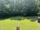 Spacious backyard featuring well-maintained lawn and lush greenery, ideal for outdoor enjoyment at 145 Country Walk Ln, Sanford, NC 27332