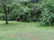 Lawn featuring lush green grass and mature trees at 1500 Brent Ct # 9B, Burlington, NC 27215
