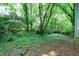 Backyard with tall mature trees, green ground cover, and a swing set, surrounded by a wood fence at 3511 Shady Creek Dr, Durham, NC 27713