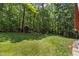 Backyard features a lush lawn, mature trees, and a quaint outbuilding at 4110 Stoneycreek Rd, Chapel Hill, NC 27514