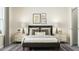 Cozy bedroom with a plush rug, bedside tables, and stylish decor at 215 Carova Bnd, Apex, NC 27539
