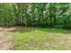 Large grassy backyard surrounded by mature trees and partial fence for privacy and natural beauty at 297 Curragh Cv, Fuquay Varina, NC 27526