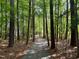 Picturesque walking path through a lush forest, offering a peaceful and nature-filled experience at 1 Lake Hill Dr, Durham, NC 27713