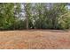Expansive backyard with fresh straw bed, edged by mature trees, creates a private and serene outdoor space at 114 Crow Dr, Louisburg, NC 27549