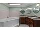 Bathroom with double sink, whirlpool tub, tile accents, and a separate shower for a spa-like experience at 1167 John D Winstead Rd, Roxboro, NC 27574