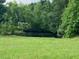 Tranquil pond surrounded by dense trees and a lush green field at 1167 John D Winstead Rd, Roxboro, NC 27574