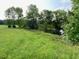 Scenic view of lush green fields meeting a serene pond surrounded by mature trees at 1167 John D Winstead Rd, Roxboro, NC 27574