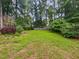 Sprawling backyard surrounded by mature trees and a wood fence, offering privacy and space for outdoor activities at 120 Point Harbor Dr, Cary, NC 27519