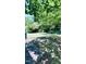 Leafy backyard with mature trees and open areas of grass at 505 E Canary St, Dunn, NC 28334