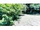 Spacious backyard bordered by lush greenery and mature trees at 505 E Canary St, Dunn, NC 28334