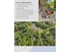A stunning aerial view of the neighborhood with mature landscaping and serene lake at 5344 Mill Dam Rd, Wake Forest, NC 27587