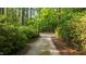 Long driveway leading through lush green trees and foliage at 5344 Mill Dam Rd, Wake Forest, NC 27587
