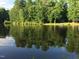 Scenic waterfront view with a tranquil pond and lush greenery, perfect for nature lovers at 5344 Mill Dam Rd, Wake Forest, NC 27587