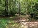 The wooded backyard offers plenty of privacy and a natural setting at 5809 Kimbal St, Raleigh, NC 27606