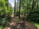 The wooded lot provides privacy and space between the home and storage building at 5809 Kimbal St, Raleigh, NC 27606