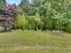This backyard features a lush lawn with several planter boxes at 735 Sycamore Springs Dr, Fuquay Varina, NC 27526