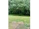 Large backyard with lush green grass and a border of mature trees at 7832 Averette Field Dr, Raleigh, NC 27616