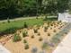 Professionally landscaped yard with a variety of shrubs, plants, and mulch, providing curb appeal at 100 Eastwood Lake Rd Rd, Chapel Hill, NC 27514