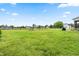 Large grassy backyard with play set and shed at 137 Clydes Point Way, Wendell, NC 27591