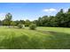 Spacious backyard with manicured lawn, mature trees and fence providing a serene and private outdoor space at 1614 E Hardscrabble Dr, Hillsborough, NC 27278
