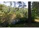 Picturesque view of a serene lake surrounded by lush trees and greenery at 227 Shalimar Dr, Durham, NC 27713