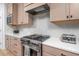 This kitchen has stainless steel appliances, quartz countertops, and neutral backsplash tiles at 386 Monteith Dr, Chapel Hill, NC 27516