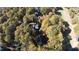 Beautiful aerial shot of home nestled amongst a canopy of mature trees and golf course at 403 Rutherglen Dr, Cary, NC 27511