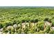Stunning aerial view of homes nestled in a lush, green, heavily wooded neighborhood at 410 Mountain Laurel, Chapel Hill, NC 27517